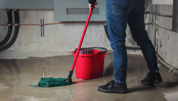 Best Flood restoration services  in Lebanon, VA